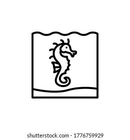marine life elements, vector infographic icons seahorse