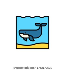 marine life elements, vector infographic icons whale