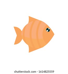 marine life, fish cartoon sea fauna animal on white background