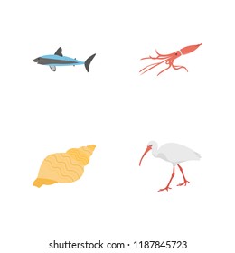 
Marine Life Flat Icons 
