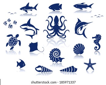 Marine life icon set. Isolated against a white background with reflections