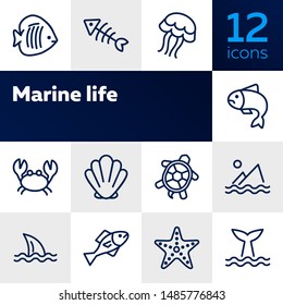 Marine life icon. Set of line icons on white background. Crab, turtle, seashell, starfish, shark fin. Sea concept. Vector illustration can be used for topics like aquarium, fauna, travel