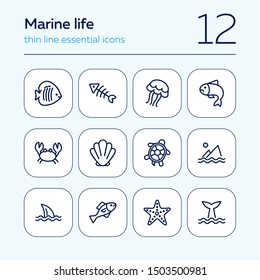 Marine life icon. Set of line icons on white background. Crab, turtle, seashell, starfish, shark fin. Sea concept. Vector illustration can be used for topics like aquarium, fauna, travel