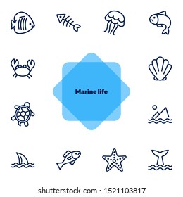 Marine life icon. Set of line icons on white background. Crab, turtle, seashell, starfish, shark fin. Sea concept. Vector illustration can be used for topics like aquarium, fauna, travel