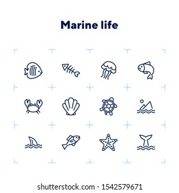 Marine life icon. Set of line icons on white background. Crab, turtle, seashell, starfish, shark fin. Sea concept. Vector illustration can be used for topics like aquarium, fauna, travel