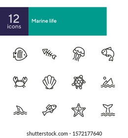 Marine life icon. Set of line icons on white background. Crab, turtle, seashell, starfish, shark fin. Sea concept. Vector illustration can be used for topics like aquarium, fauna, travel