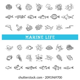 Marine life icon set. Vector outline icons