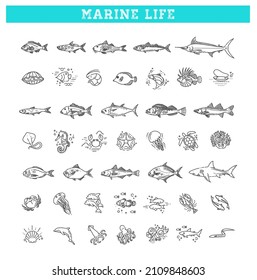 Marine life icon set. Vector outline icons