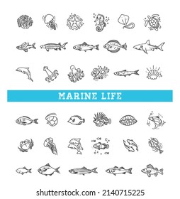 Marine life icon set. Vector outline icons