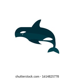 marine life, killer whale orca cartoon sea fauna animal on white background