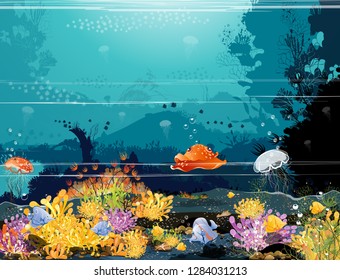 Marine Life Landscape - Ocean and underwater world, fish ponds, coral reefs, anemones and rock formations. Nature of the world under the ocean create videos or web graphic design, card user interface.