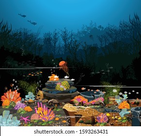 Marine Life Landscape - Underwater scenes - oceans and underwater world with living things. Different For printing, creating videos, or designing web graphics, user interface, poster cards
