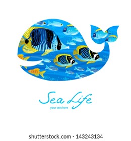 Marine life on background in the form of a whale. Cheerful whale. Place for your text. It can be used for decorating of invitations, cards, decoration for bags and clothes.