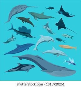 Marine life on a blue background