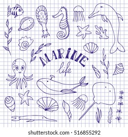 Marine life on notebook sheet. Shells and fish, starfish and seahorse, jellyfish and seaweed. Underwater animals and plants drawn by hand in the style of sketch. Vector set drawn by hand.