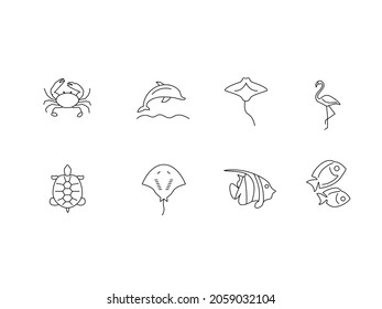 Marine life outline icons set. Turtle, dolphin. Stingray and crab. Fish and flamingos. Isolated vector illustration