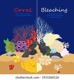 Marine life problems. Coral reef dying. Underwater world ecological crisis. Corals bleaching. Ocean warming. Vertical graphic design in a flat cartoon style. Vector illustration in bright colors
