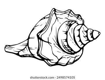 Marine life, sea ocean underwater creatures fish, shells algae seaweed, Ink and pen sketch hand drawn. Single object illustration, stylized, isolated on white. Zoo shop, aquarium, cosmetics, resort