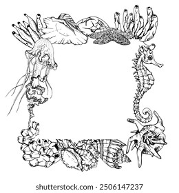 Marine life, sea ocean underwater creatures fish, shells algae seaweed, Ink and pen sketch hand drawn. Border frame illustration, stylized, isolated on white. For zoo shop, aquarium, cosmetics, resort