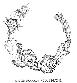 Marine life, sea ocean underwater creatures fish, shells algae seaweed, Ink and pen sketch hand drawn. Wreath frame illustration, stylized, isolated on white. For zoo shop, aquarium, cosmetics, resort