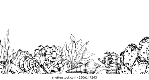 Marine life, sea ocean underwater creatures fish, shells algae seaweed, Ink and pen sketch hand drawn. Seamless banner illustration, stylized, isolated on white. For zoo shop, aquarium, fabric decor