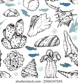 Marine life, sea ocean underwater creatures fish, shells algae seaweed, Ink and pen sketch hand drawn. Seamless pattern illustration, stylized, isolated on white. Zoo shop, aquarium, cosmetics, resort