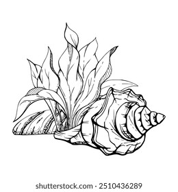 Vida marinha, mar oceano criaturas subaquáticas peixes, conchas algas algas algas algas, tinta e caneta esboço mão desenhada. Ilustração de composição, estilizada, isolada em branco. Para zootecnia, aquário, cosméticos, resort