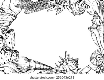 Marine life, sea ocean underwater creatures fish, shells algae seaweed, Ink and pen sketch hand drawn. Border frame illustration, stylized, isolated on white. For zoo shop, aquarium, cosmetics, resort