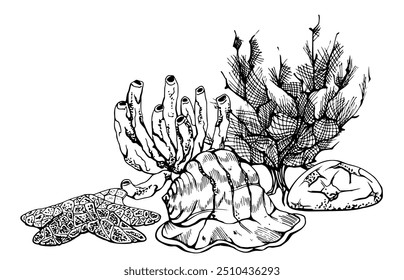 Vida marinha, mar oceano criaturas subaquáticas peixes, conchas algas algas algas algas, tinta e caneta esboço mão desenhada. Ilustração de composição, estilizada, isolada em branco. Para zootecnia, aquário, cosméticos, resort