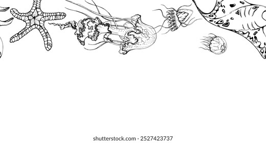 Marine life, sea ocean underwater creatures fish, shells algae seaweed, Ink and pen sketch hand drawn. Seamless banner illustration, stylized, isolated on white. For zoo shop, aquarium, fabric decor