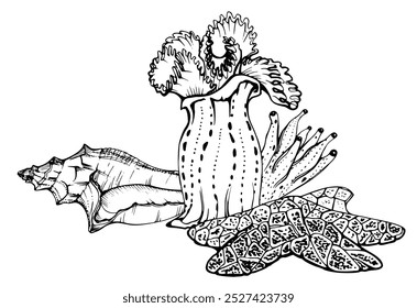 Marine life, sea ocean underwater creatures fish, shells algae seaweed, Ink and pen sketch hand drawn. Composition illustration, stylized, isolated on white. For zoo shop, aquarium, cosmetics, resort