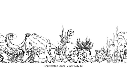 Marine life, sea ocean underwater creatures fish, shells algae seaweed, Ink and pen sketch hand drawn. Seamless banner illustration, stylized, isolated on white. For zoo shop, aquarium, fabric decor