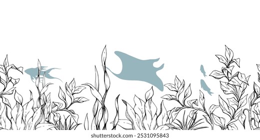 Marine life, sea ocean underwater creatures fish, shells algae seaweed, Ink and pen sketch hand drawn. Seamless banner illustration, stylized, isolated on white. For zoo shop, aquarium, fabric decor