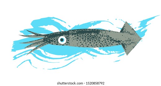 Marine life. Seafood. Kalmar. Vector illustration on white background with blue texture wave.