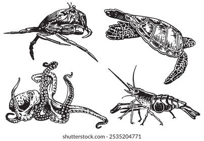 Marine life  set isolated on white background,vector illustration