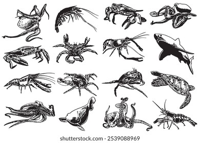 Marine life set isolated on white background,vector illustration	