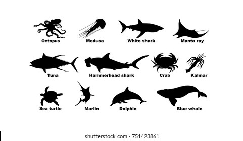 Marine life. Set of pictures of sea animals