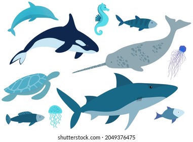 Marine life set. Wild nature of world ocean, fish, animals and molluscs. Underwater animal life. Ocean banner with jellyfish, fish, shark, turtle, seahorse and swordfish. Isolated nautical characters