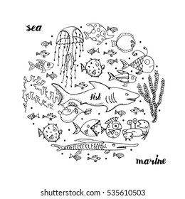 Marine life, sketch for your design