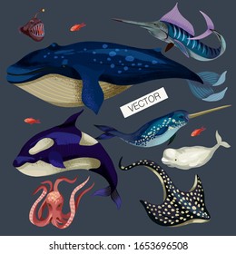 Marine life such as whale, stingray, killer whale, octopus and others isolated.