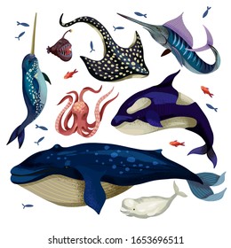 Marine life such as whale, stingray, killer whale, octopus and others isolated.