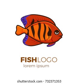 Marine life tropical colorful fish set illustration in cartoon. Aquarium draft vector design.flame angelfish logo