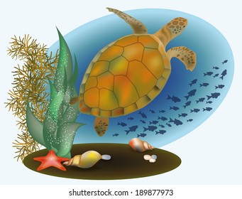 Marine life with turtle and starfish, vector illustration