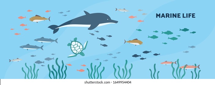 Marine life or underwater landscape background with seabed animals and plants flat vector illustration. Aquarium museum or sea bottom layout with fishes characters.