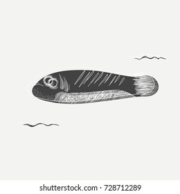 Marine life underwater vector