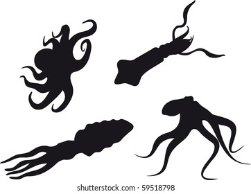 Marine life vector