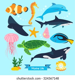 Marine Life Vector Design Illustration