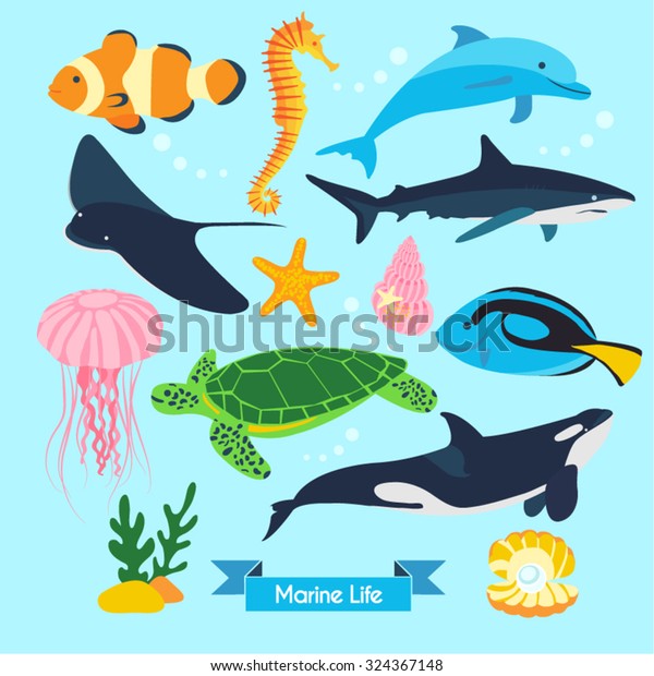 海洋生物のベクター画像デザインイラスト のベクター画像素材 ロイヤリティフリー