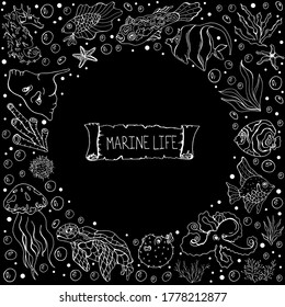 Marine life. Vector isolated illustration with a set of marine life. Doodle style. Cafe menu design. Sea fish, seaweed, turtle, octopus on a black background. Design of postcards and banners. 