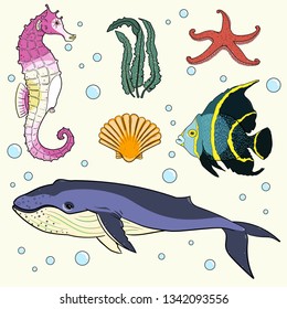 Marine life vector set. Sea and ocean.Sea life elements.
